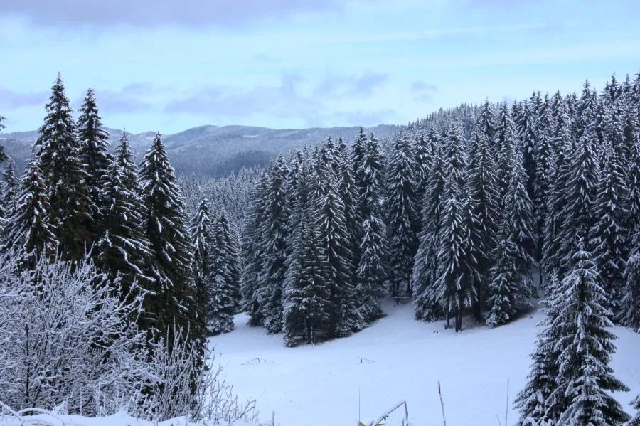 Pamporovo in Bulgaria