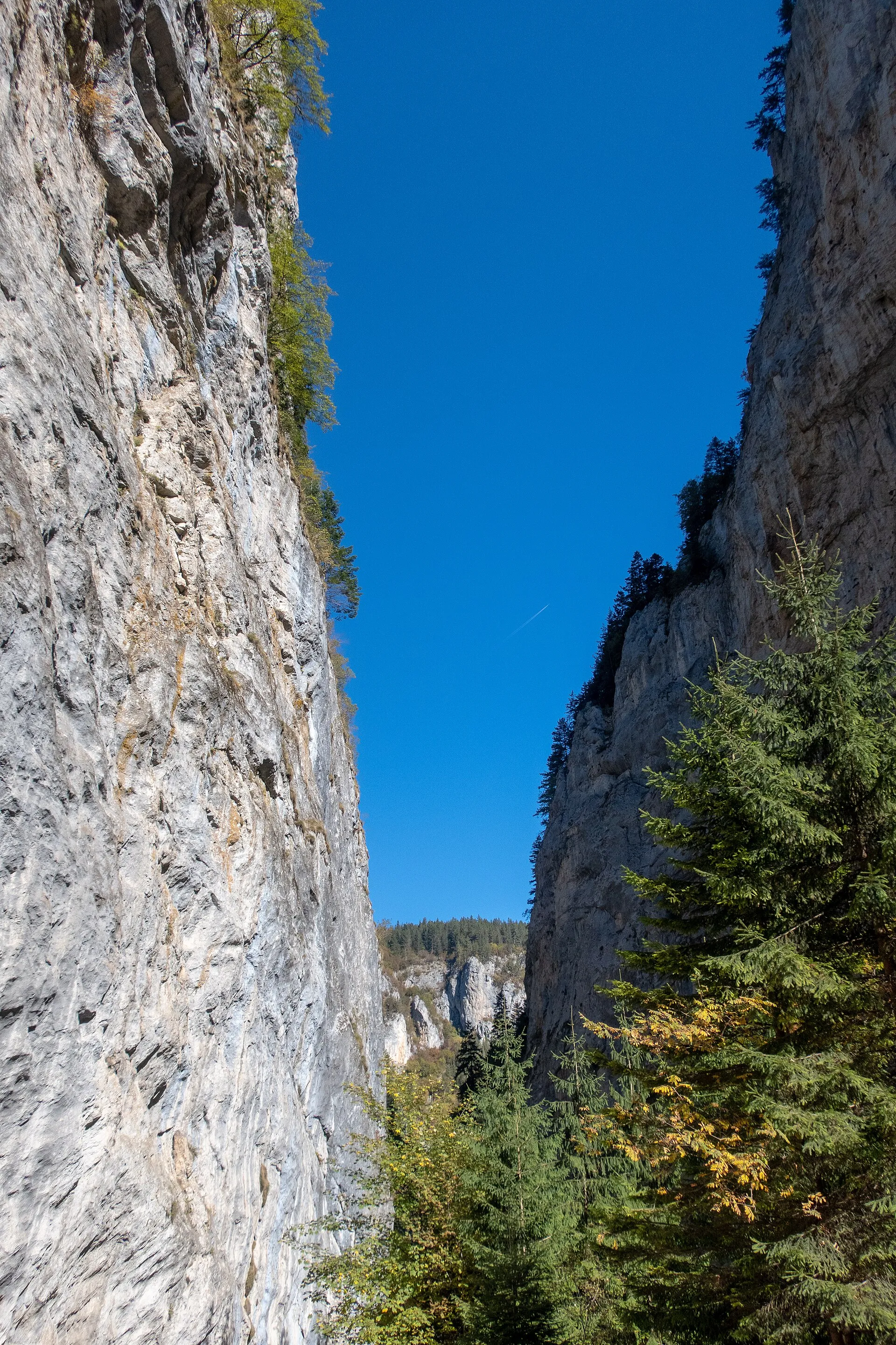 Trigrad Gorge in Bulgaria