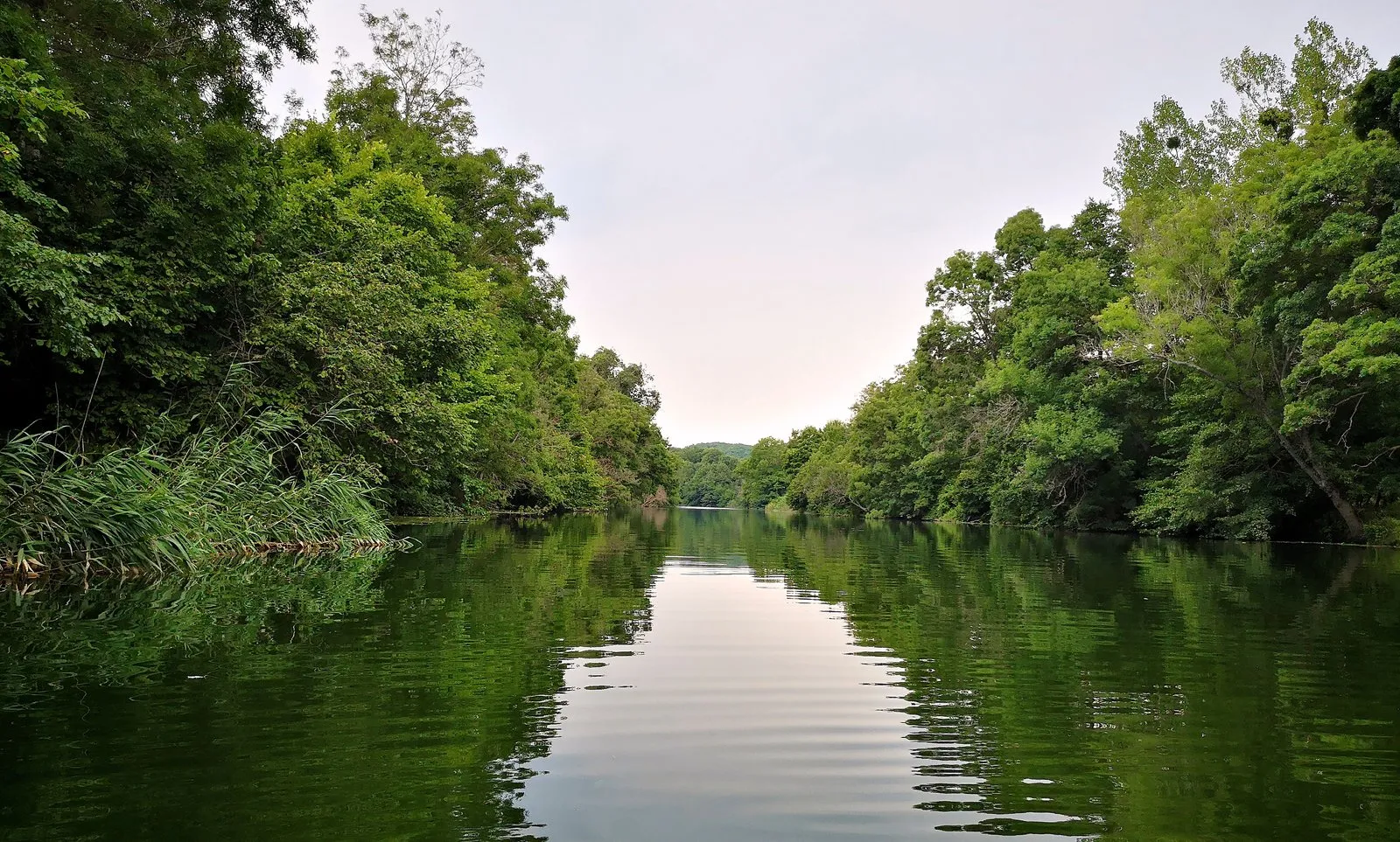 Veleka River Estuary in Bulgaria